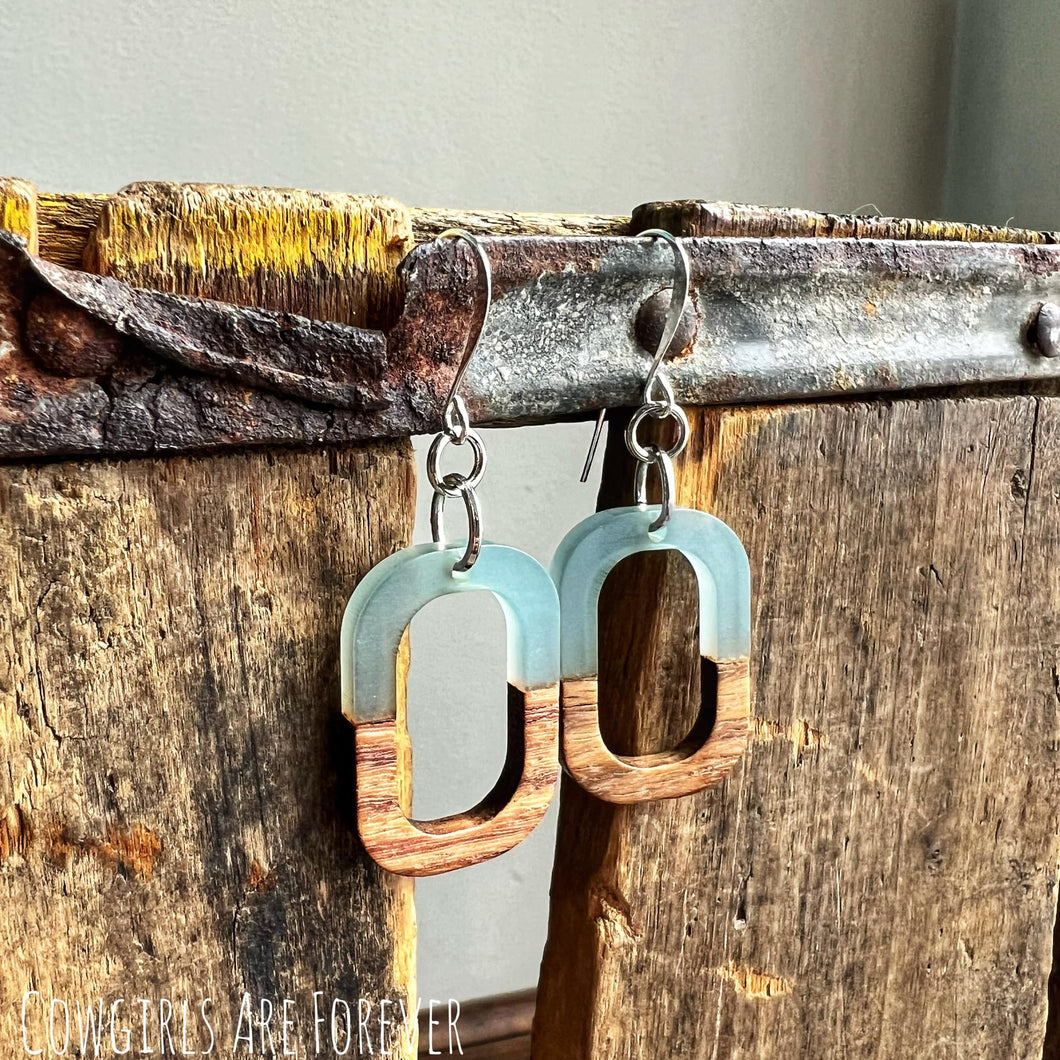 Frosted | Resin and Wood Earrings